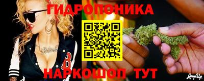стафф Анжеро-Судженск