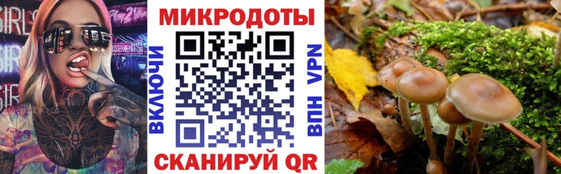 Галлюциногенные грибы Magic Shrooms  кракен зеркало  Барнаул  где продают  