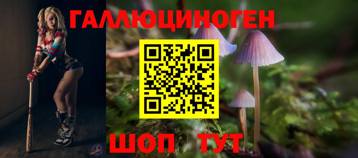 Галлюциногенные грибы Psilocybine cubensis  Вход с VPN  Барнаул  Галлюциногенные грибы Psilocybe 