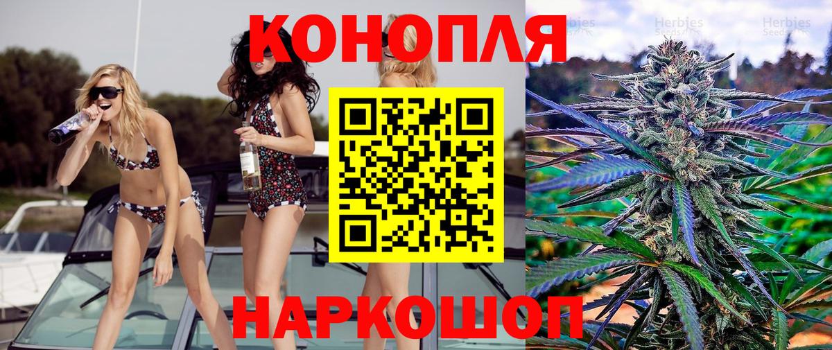 Каннабис сатива Барнаул